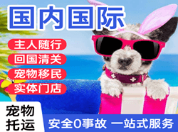 琼海航空邮寄国际宠物托运 【国